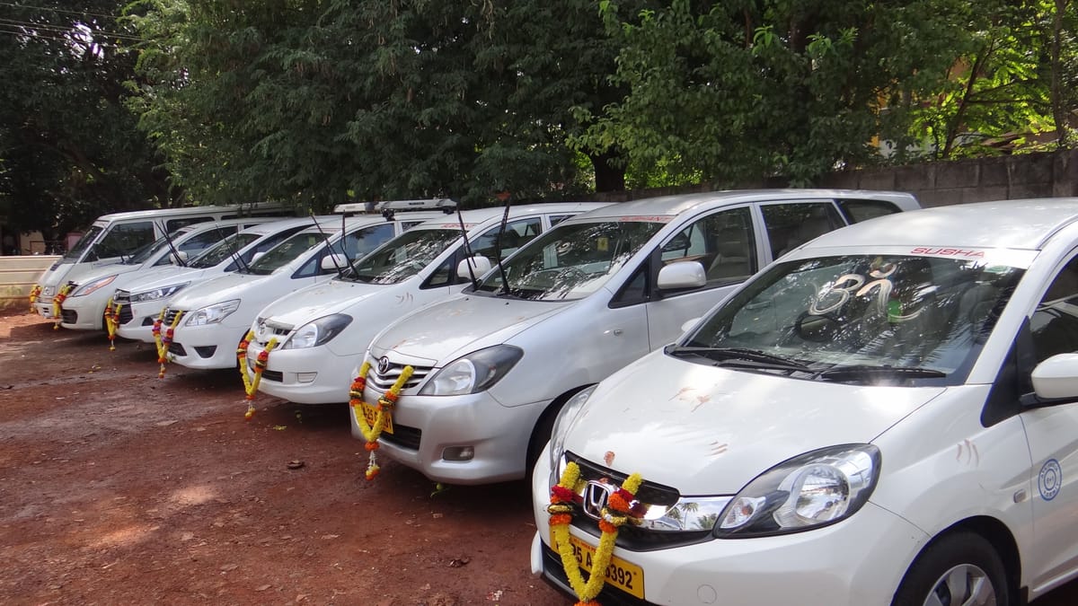 Diagonal row of white passenger cars and MPVs parked under shade trees